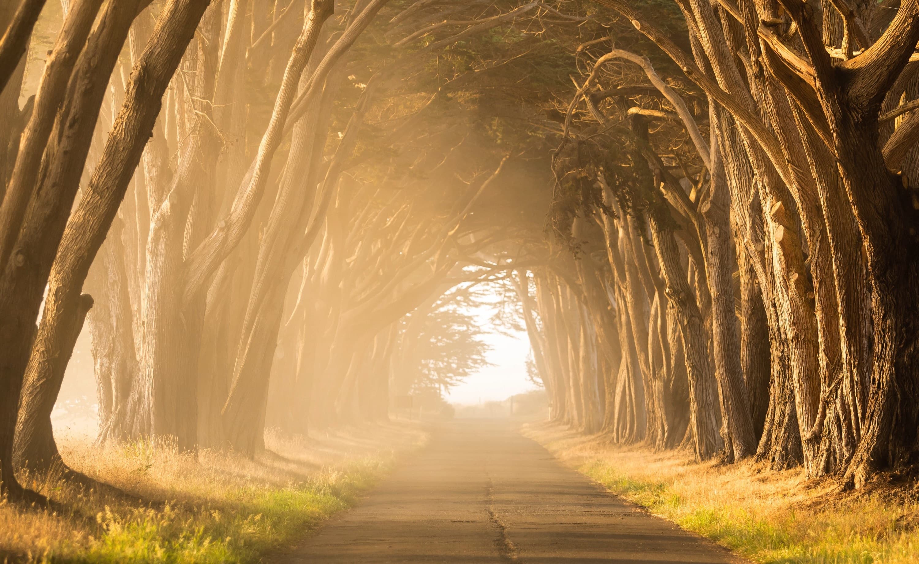 Here is how I found my path as a software engineer