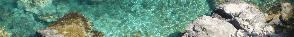 Banner photo: clear turquoise water over rocks